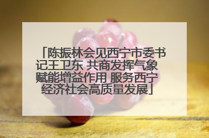 陈振林会见西宁市委书记王卫东 共商发挥气象赋能增益作用 服务西宁经济社会高质量发展