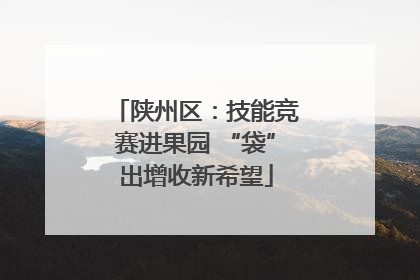 陕州区：技能竞赛进果园 “袋”出增收新希望