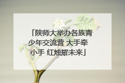 陕师大举办各族青少年交流营 大手牵小手 红烛耀未来