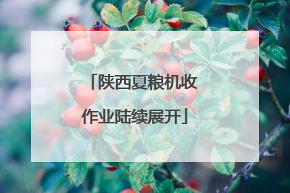 陕西夏粮机收作业陆续展开