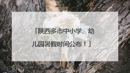 陕西多市中小学、幼儿园暑假时间公布！