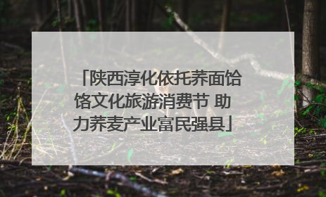 陕西淳化依托荞面饸饹文化旅游消费节 助力荞麦产业富民强县