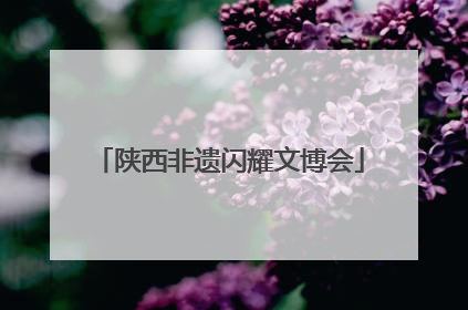 陕西非遗闪耀文博会
