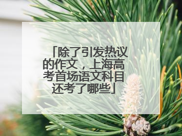 除了引发热议的作文，上海高考首场语文科目还考了哪些