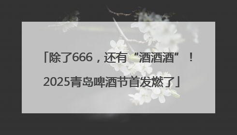 除了666，还有“酒酒酒”！2025青岛啤酒节首发燃了