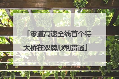 零道高速全线首个特大桥在双牌顺利贯通