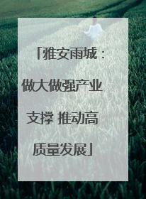 雅安雨城：做大做强产业支撑 推动高质量发展