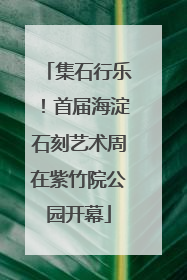 集石行乐！首届海淀石刻艺术周在紫竹院公园开幕