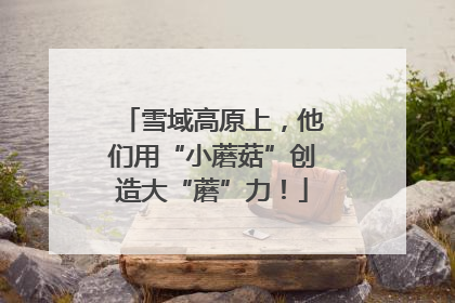 雪域高原上，他们用“小蘑菇”创造大“蘑”力！
