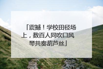 震撼！学校田径场上，数百人同吹口风琴共奏葫芦丝