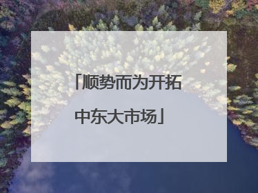 顺势而为开拓中东大市场