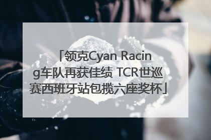 领克Cyan Racing车队再获佳绩 TCR世巡赛西班牙站包揽六座奖杯