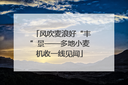 风吹麦浪好“丰”景——多地小麦机收一线见闻