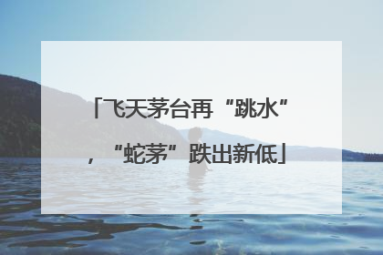 飞天茅台再“跳水”，“蛇茅”跌出新低