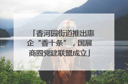 香河园街道推出惠企“香十条”，国展商圈党建联盟成立