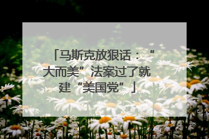 马斯克放狠话：“大而美”法案过了就建“美国党”