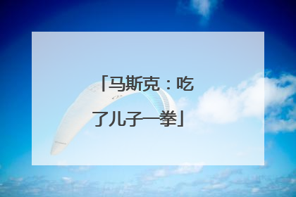 马斯克：吃了儿子一拳