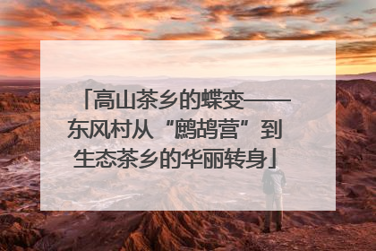 高山茶乡的蝶变——东风村从“鹧鸪营”到生态茶乡的华丽转身