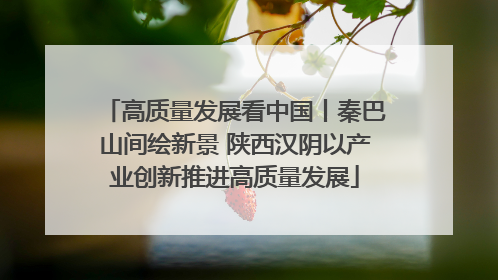 高质量发展看中国丨秦巴山间绘新景 陕西汉阴以产业创新推进高质量发展