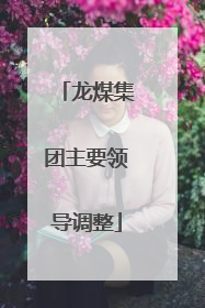 龙煤集团主要领导调整