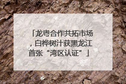 龙粤合作共拓市场，白桦树汁获黑龙江首张“湾区认证”