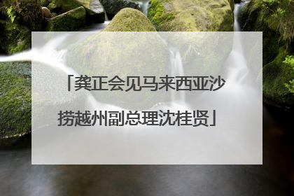 龚正会见马来西亚沙捞越州副总理沈桂贤
