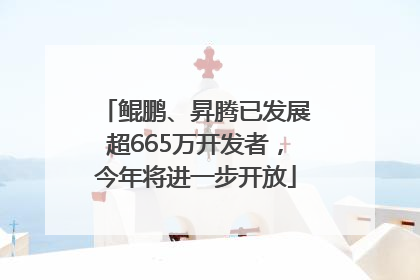 鲲鹏、昇腾已发展超665万开发者，今年将进一步开放