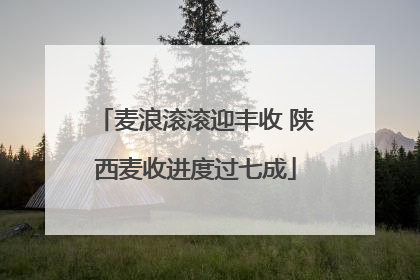 麦浪滚滚迎丰收 陕西麦收进度过七成