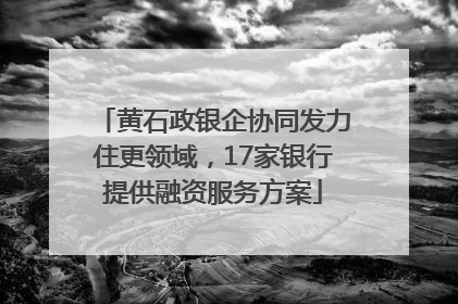 黄石政银企协同发力住更领域，17家银行提供融资服务方案