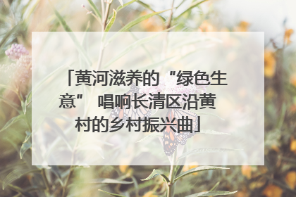 黄河滋养的“绿色生意” 唱响长清区沿黄村的乡村振兴曲