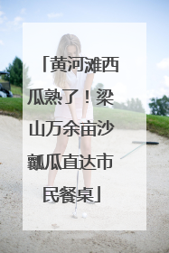 黄河滩西瓜熟了！梁山万余亩沙瓤瓜直达市民餐桌