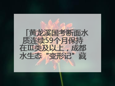 黄龙溪国考断面水质连续59个月保持在Ⅲ类及以上，成都水生态“变形记”藏着这些密码