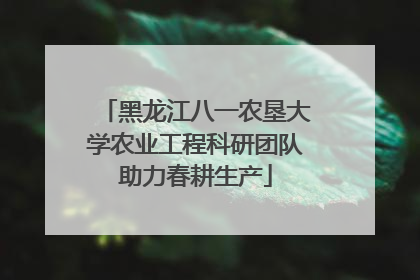 黑龙江八一农垦大学农业工程科研团队助力春耕生产