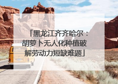 黑龙江齐齐哈尔：胡萝卜无人化种植破解劳动力短缺难题