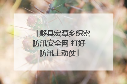 黟县宏潭乡织密防汛安全网 打好防汛主动仗