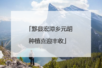 黟县宏潭乡元胡种植喜迎丰收