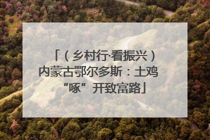 （乡村行·看振兴）内蒙古鄂尔多斯：土鸡“啄”开致富路