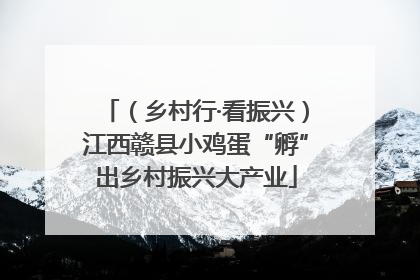 （乡村行·看振兴）江西赣县小鸡蛋“孵”出乡村振兴大产业