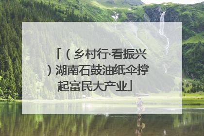 （乡村行·看振兴）湖南石鼓油纸伞撑起富民大产业