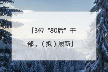 3位“80后”干部，（拟）履新
