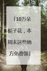 10万朵栀子花，本周末这些地方免费领