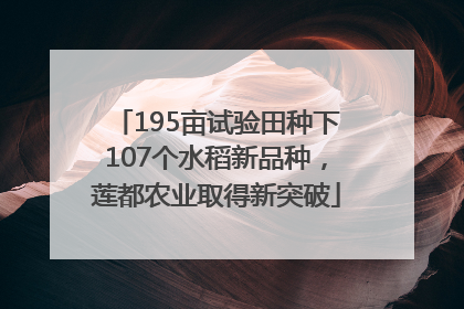 195亩试验田种下107个水稻新品种，莲都农业取得新突破