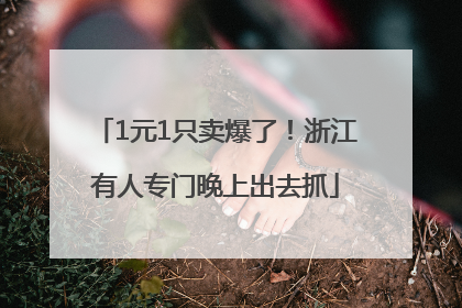 1元1只卖爆了！浙江有人专门晚上出去抓