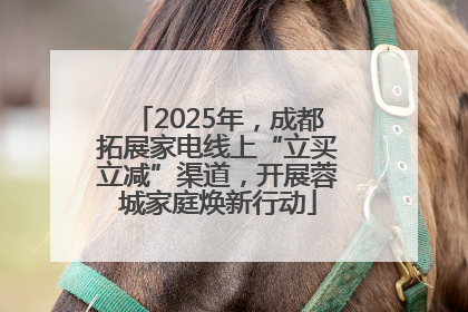 2025年，成都拓展家电线上“立买立减”渠道，开展蓉城家庭焕新行动