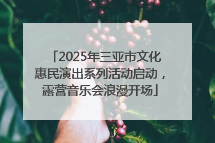 2025年三亚市文化惠民演出系列活动启动，露营音乐会浪漫开场