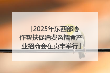 2025年东西部协作帮扶促消费暨糯食产业招商会在贞丰举行