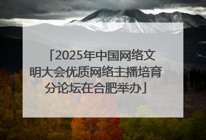 2025年中国网络文明大会优质网络主播培育分论坛在合肥举办