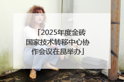 2025年度金砖国家技术转移中心协作会议在昆举办