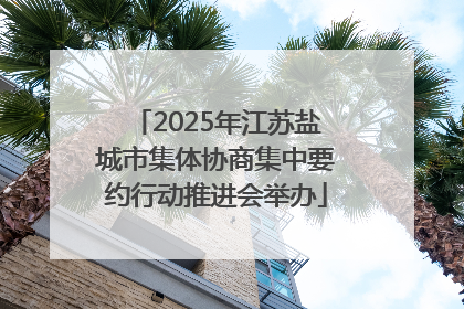 2025年江苏盐城市集体协商集中要约行动推进会举办