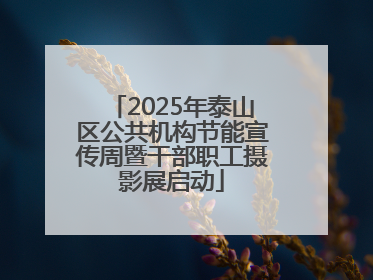 2025年泰山区公共机构节能宣传周暨干部职工摄影展启动